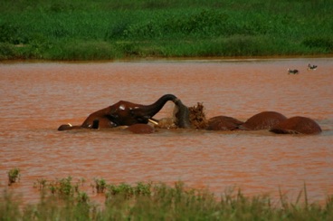 kenya 092